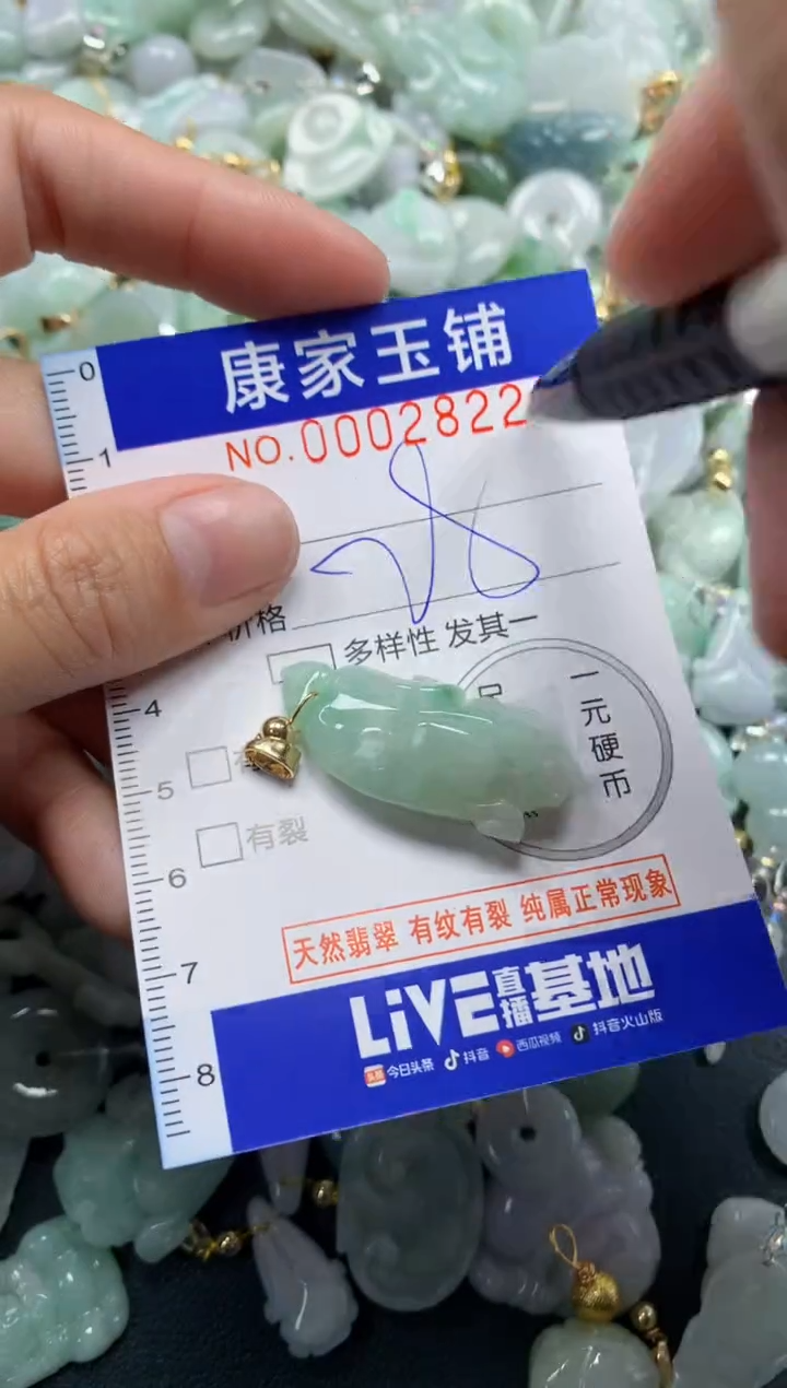 颈饰未镶嵌翡翠2822
