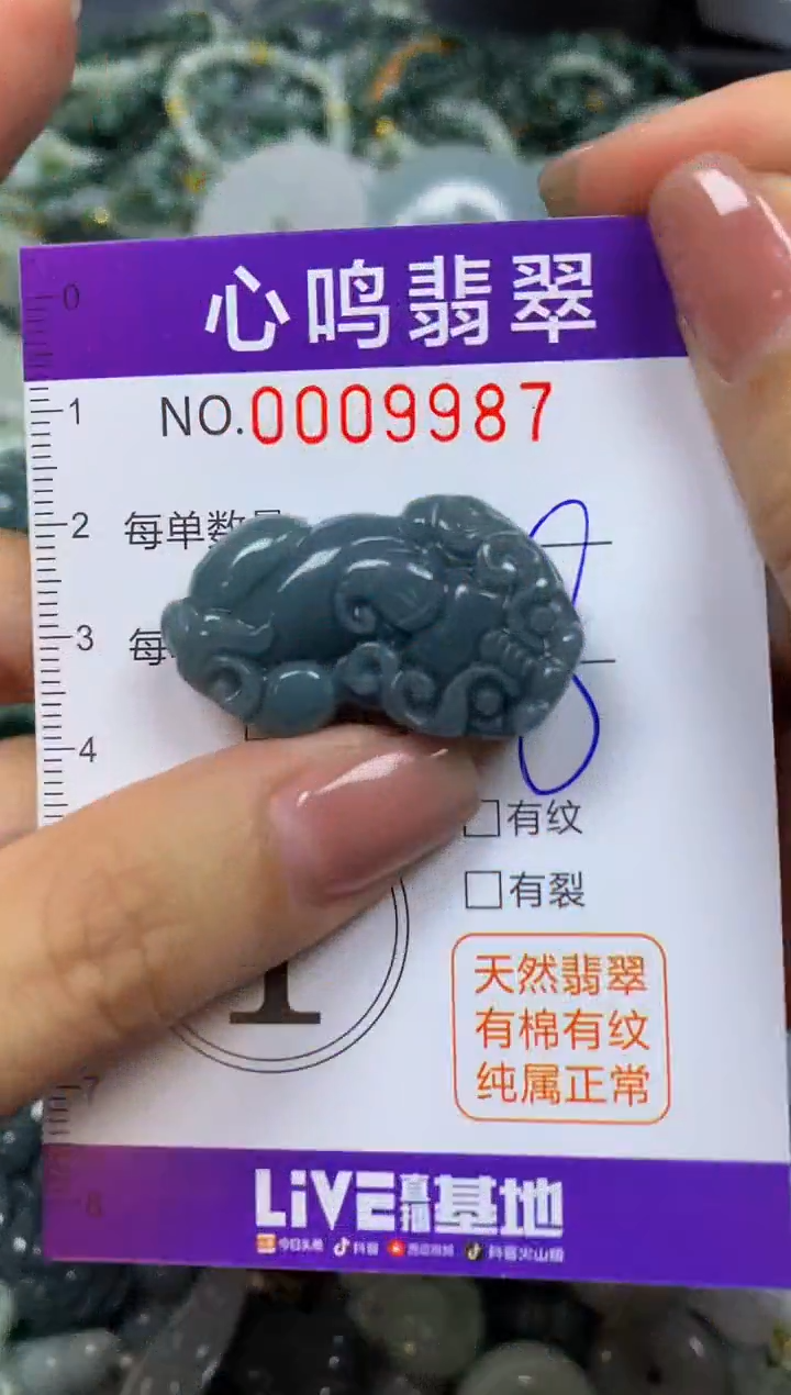 翡翠未镶嵌颈饰闪购009987