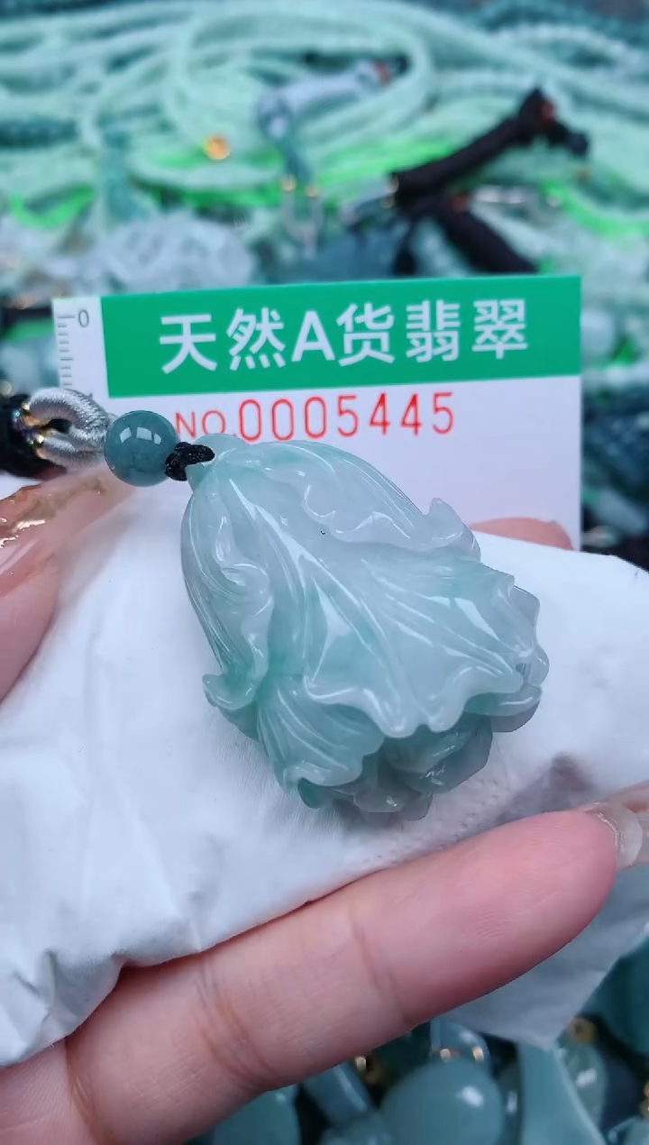 【闪购商品】翡翠颈饰未镶嵌.0005445