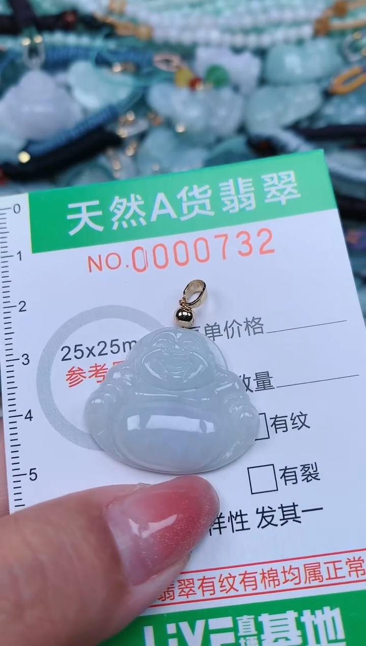 【闪购商品】翡翠颈饰未镶嵌.0000732