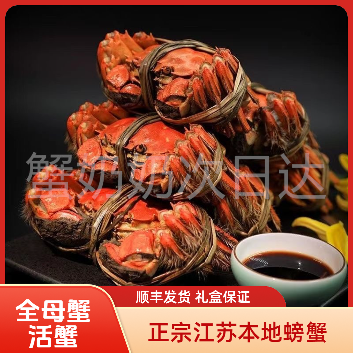 【活蟹 全母蟹】鲜活大闸蟹4.2-3.9两10只湖蟹江苏螃蟹顺丰发货