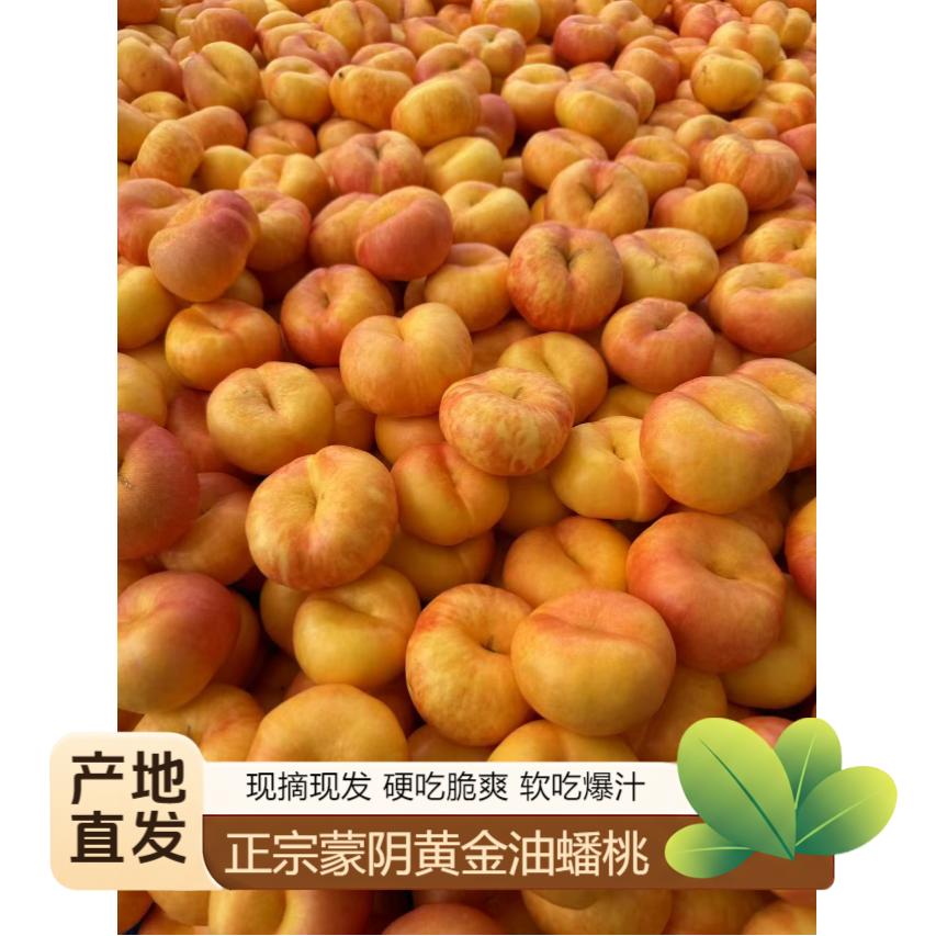 山东蒙阴彩虹正宗油蟠桃现摘现发黄油桃应季水果桃子整箱新鲜多汁
