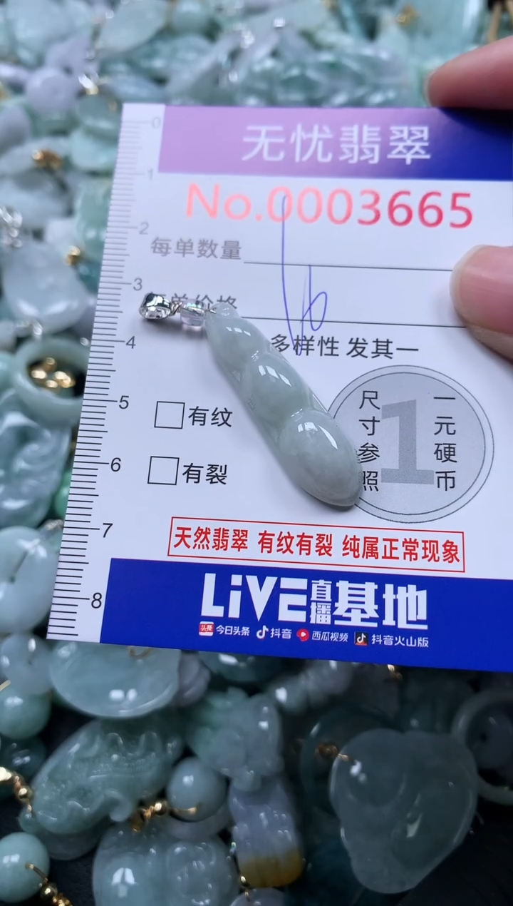 颈饰未镶嵌翡翠3665