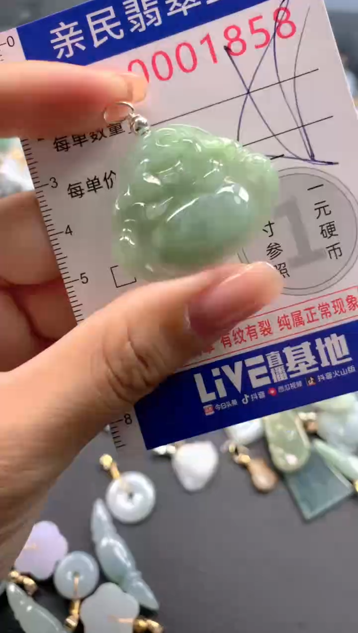 颈饰未镶嵌翡翠1858