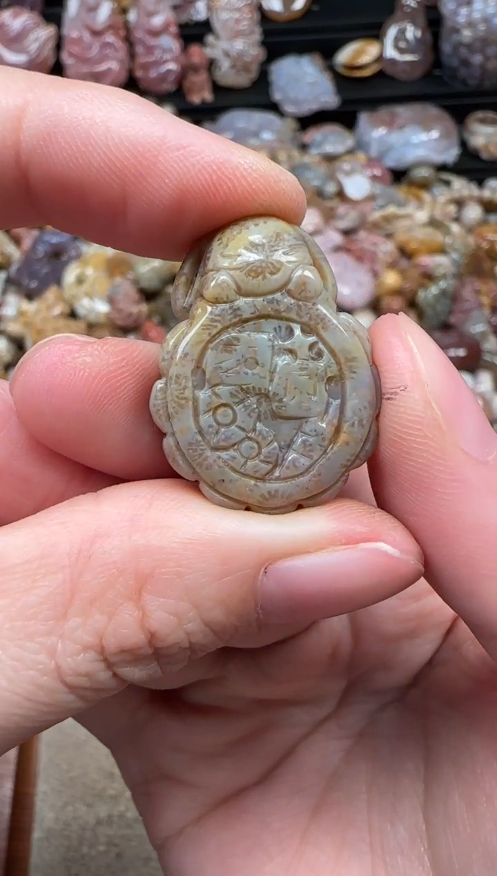 颈饰未镶嵌硅化珊瑚（珊瑚玉）842