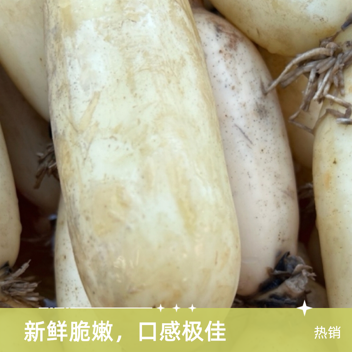 助农湖南洞庭湖边新鲜现挖莲藕脆甜爽口可清炒凉拌煮火锅