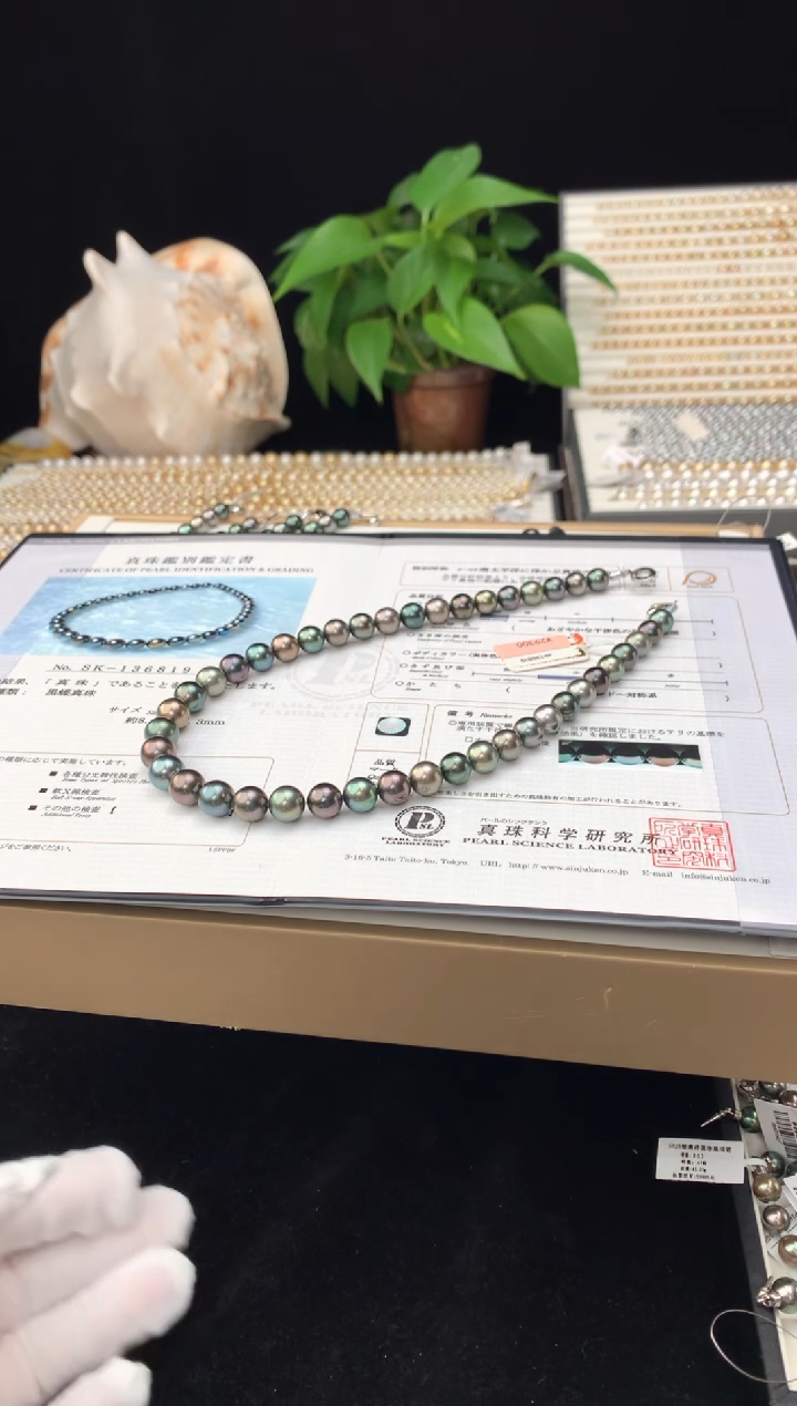 【闪购商品】海水珍珠颈饰银S925镶嵌海水大溪地珍珠项链8-11mm