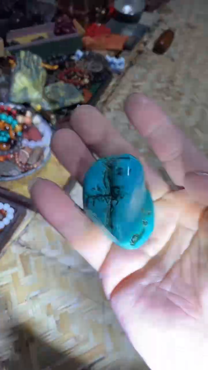 【闪购商品】贝壳手串/手链28啊啊啊啊啊啊啊啊啊啊啊