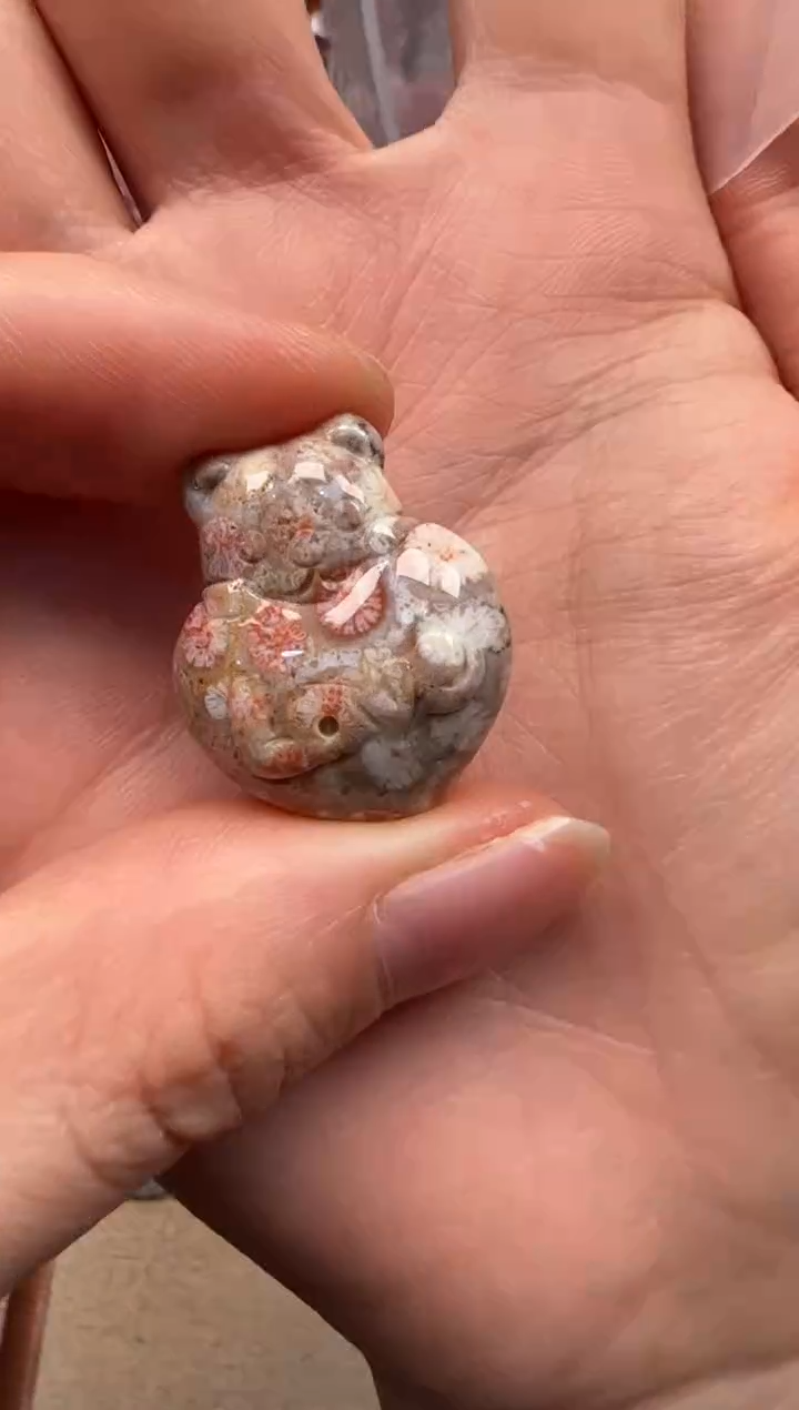 【闪购商品】硅化珊瑚（珊瑚玉）颈饰未镶嵌286