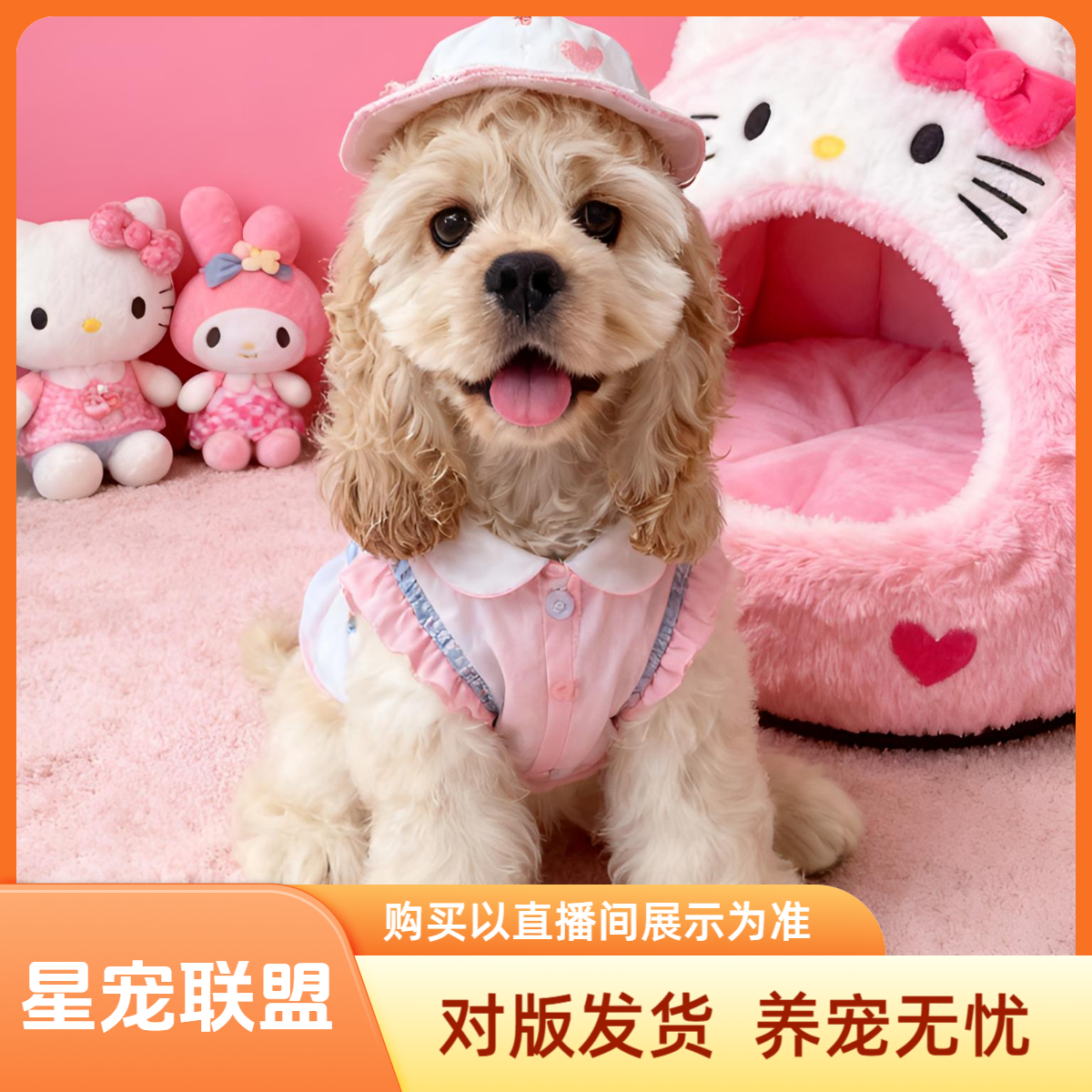 【星宠联盟】高端精品美卡犬活体链接