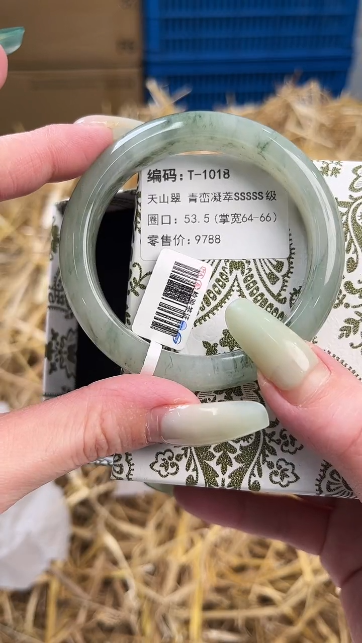 未镶嵌手镯石英质玉T-1018