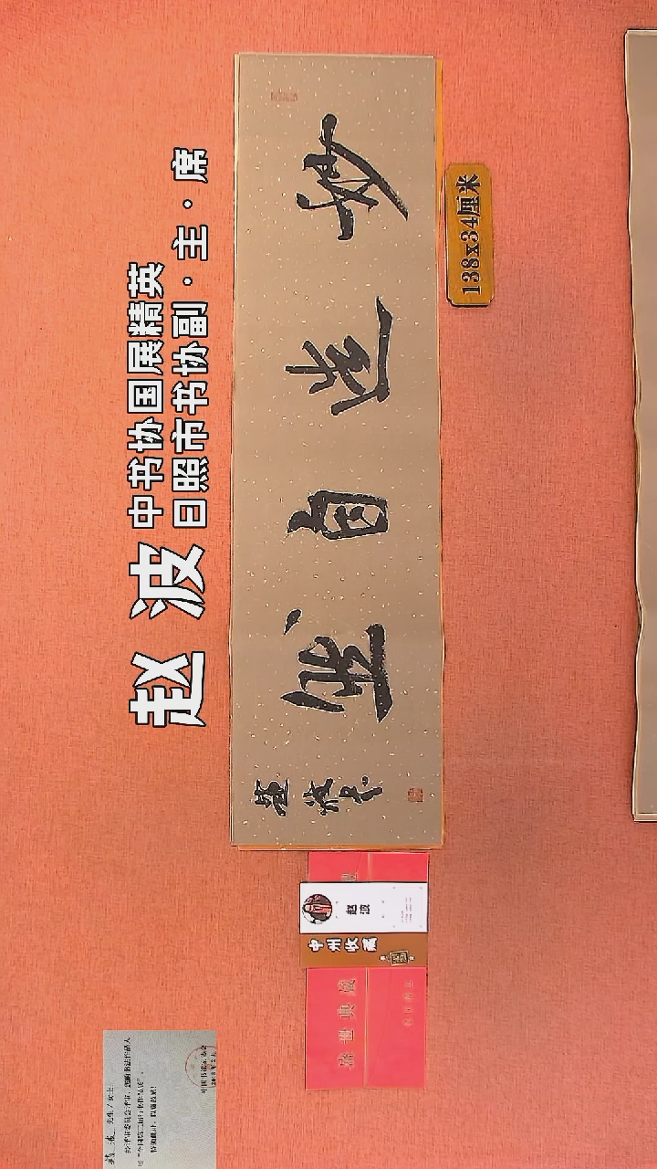 【闪购商品】书法253         赵波书法作品