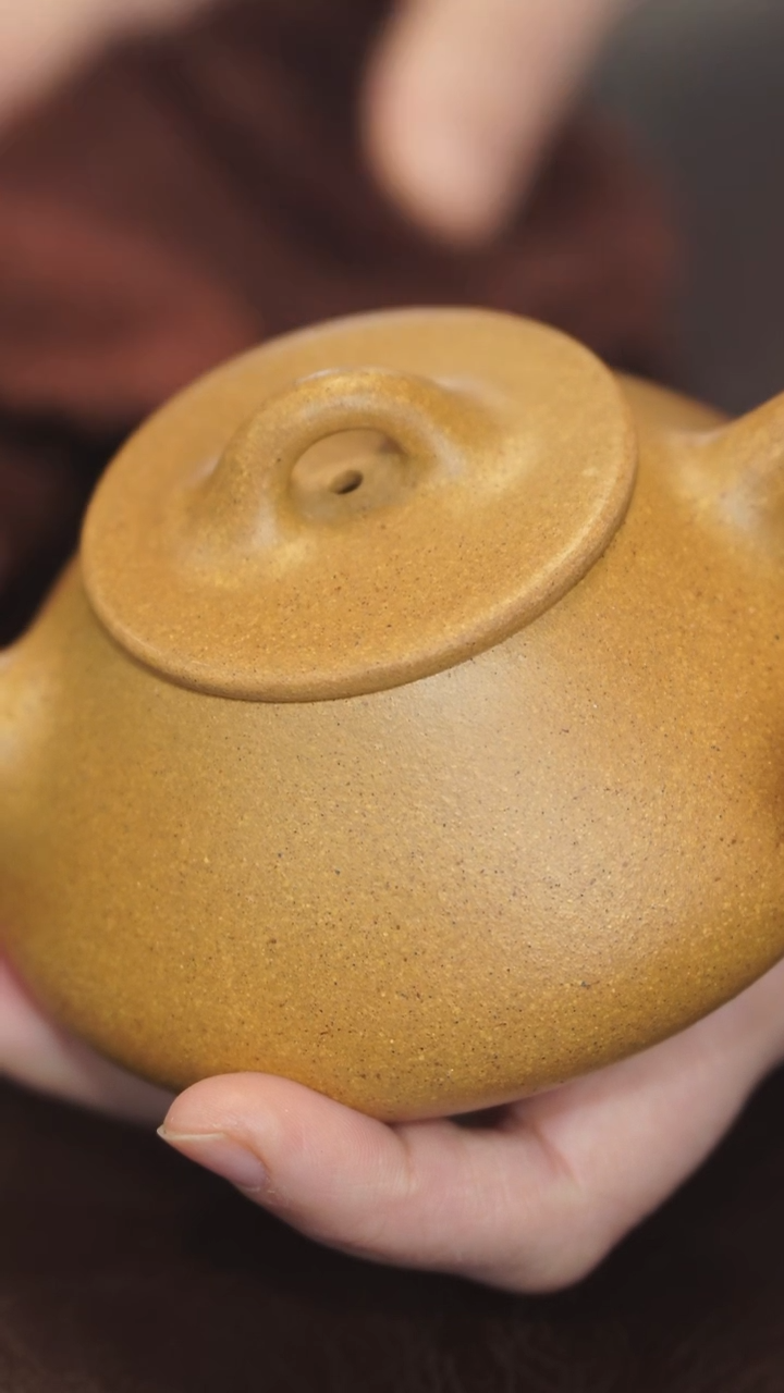 茶壶紫砂温****号老档口黄金段 平盖石瓢