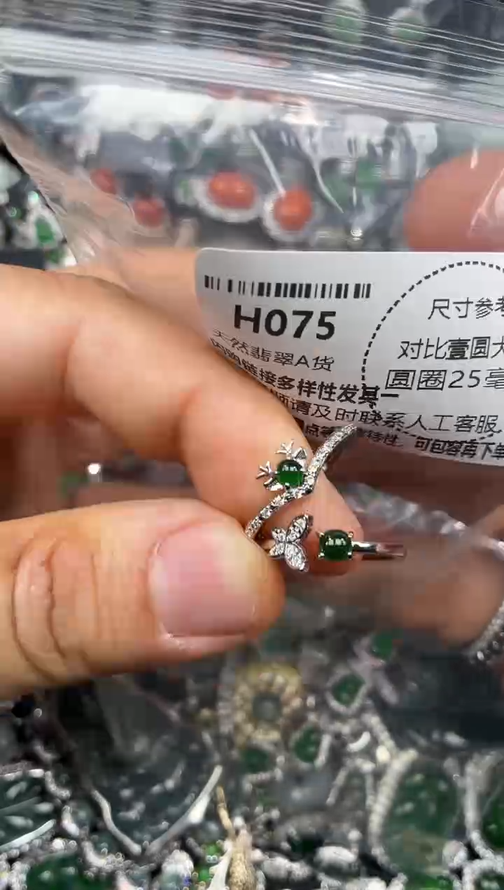 颈饰未镶嵌翡翠H075戒指