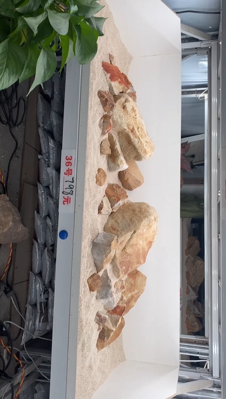 36号鱼缸造景（包含底砂）