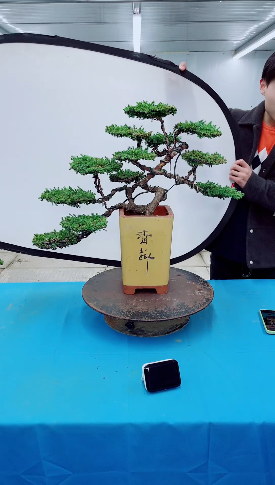 无花朵000000000000000