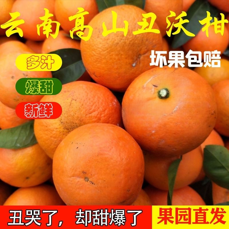 云南高原沃柑粗皮沃柑微花皮新鲜採摘发货应季水果多汁清甜爽口商品图