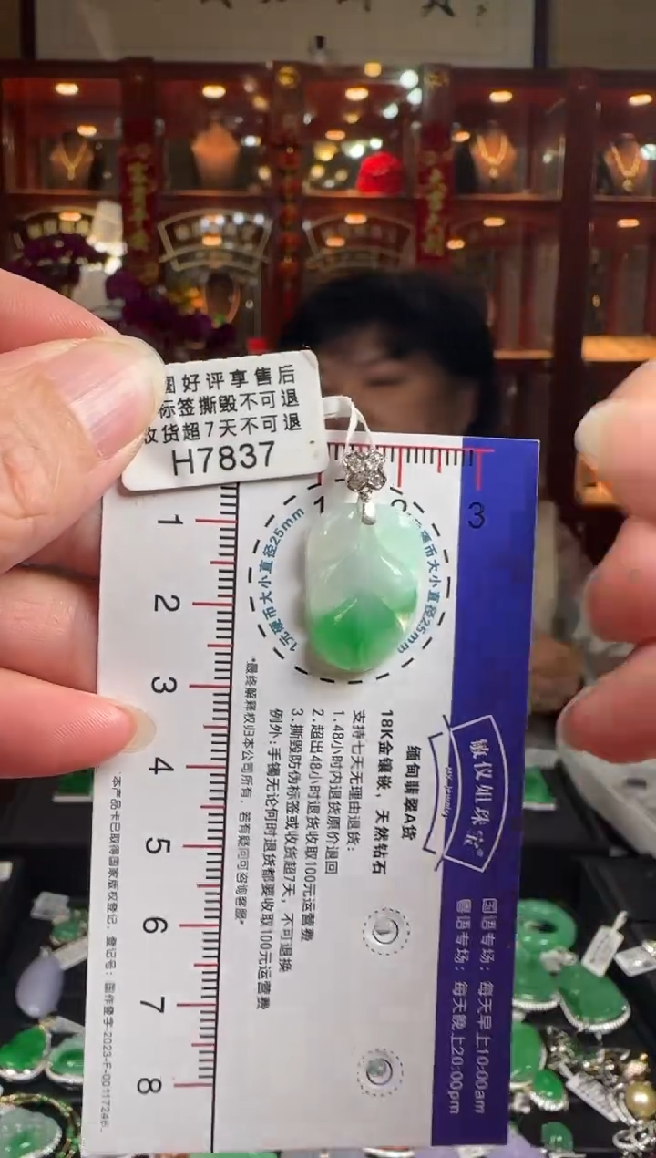 【闪购商品】翡翠颈饰18K金镶嵌H7837冰飘绿叶子