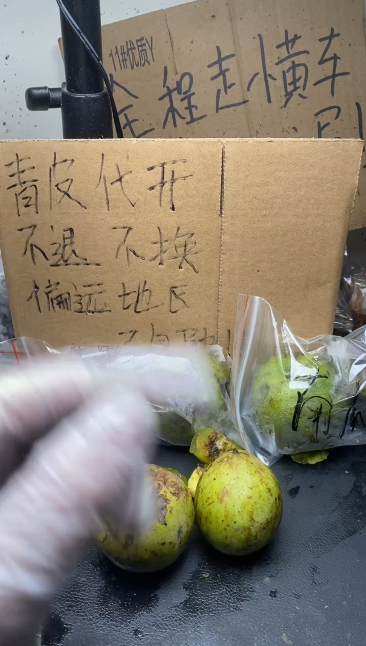 不退不换ZWF官帽10