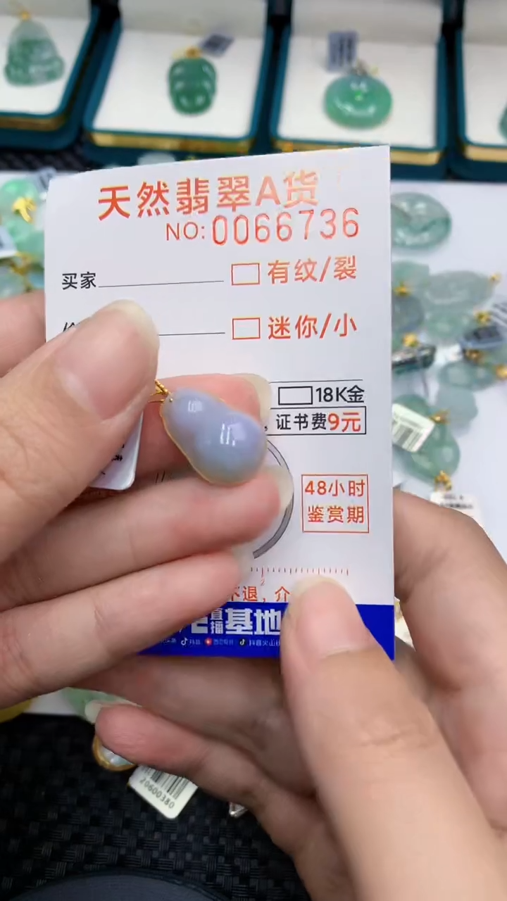 【闪购商品】翡翠颈饰18K金镶嵌            8