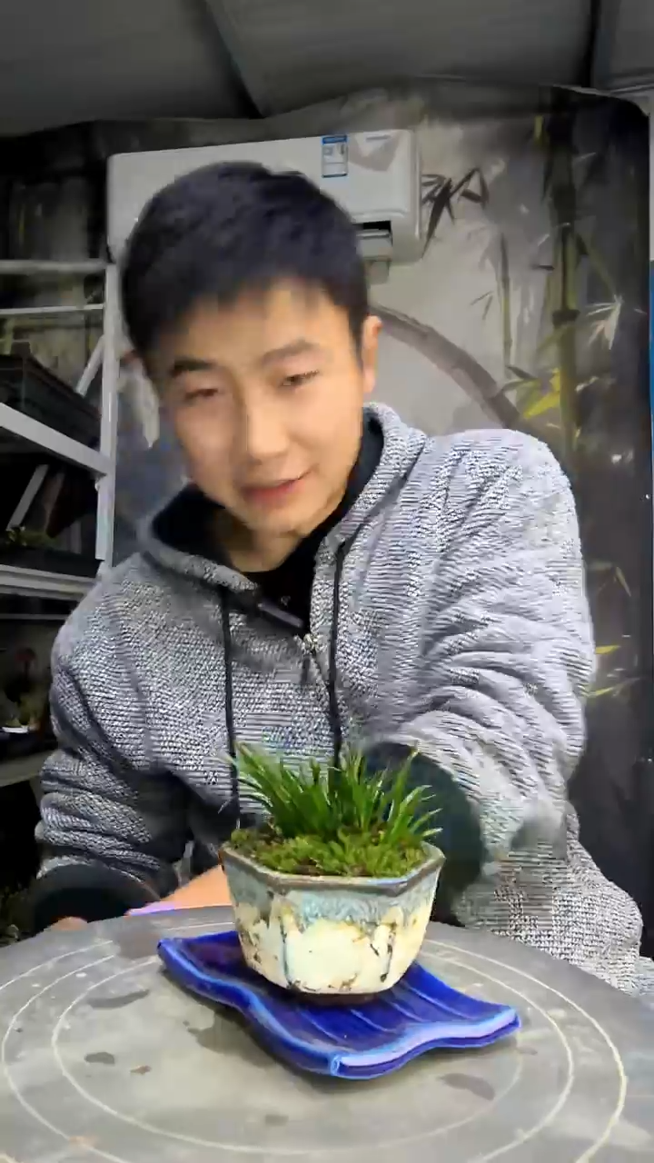 祥***道中青园艺一物一拍花299