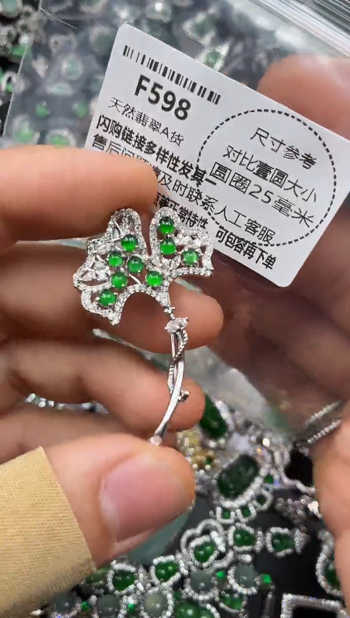 颈饰未镶嵌翡翠F598胸针
