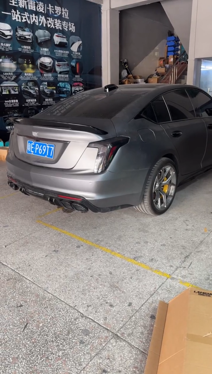 黑翼大尾翼的的的