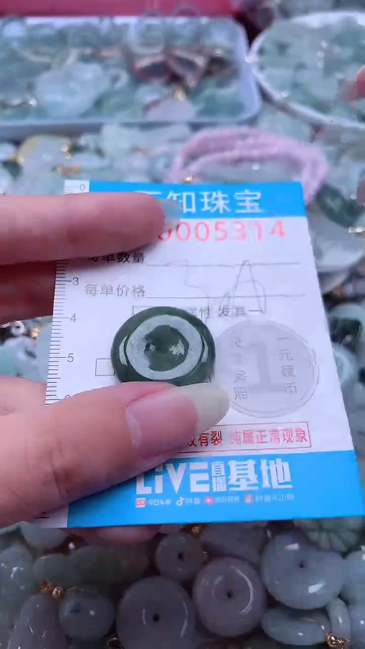 翡翠未镶嵌吊坠(不含链)5314