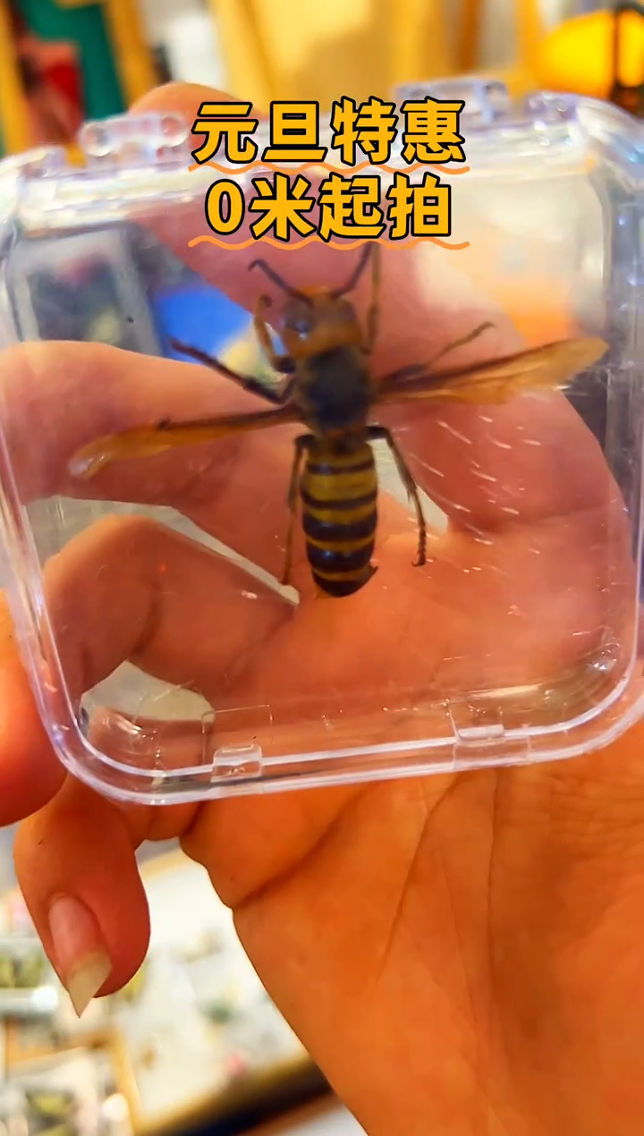 有机玻璃88686868