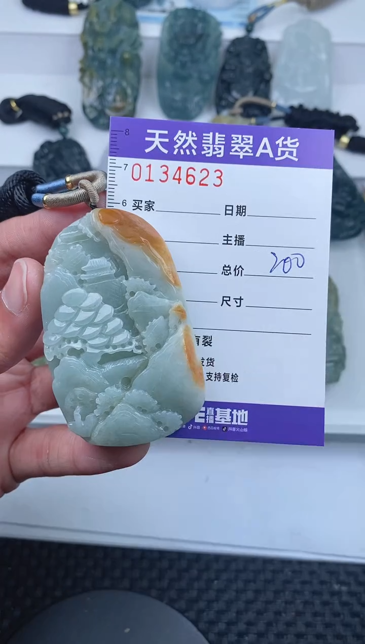 【闪购商品】翡翠颈饰未镶嵌       623