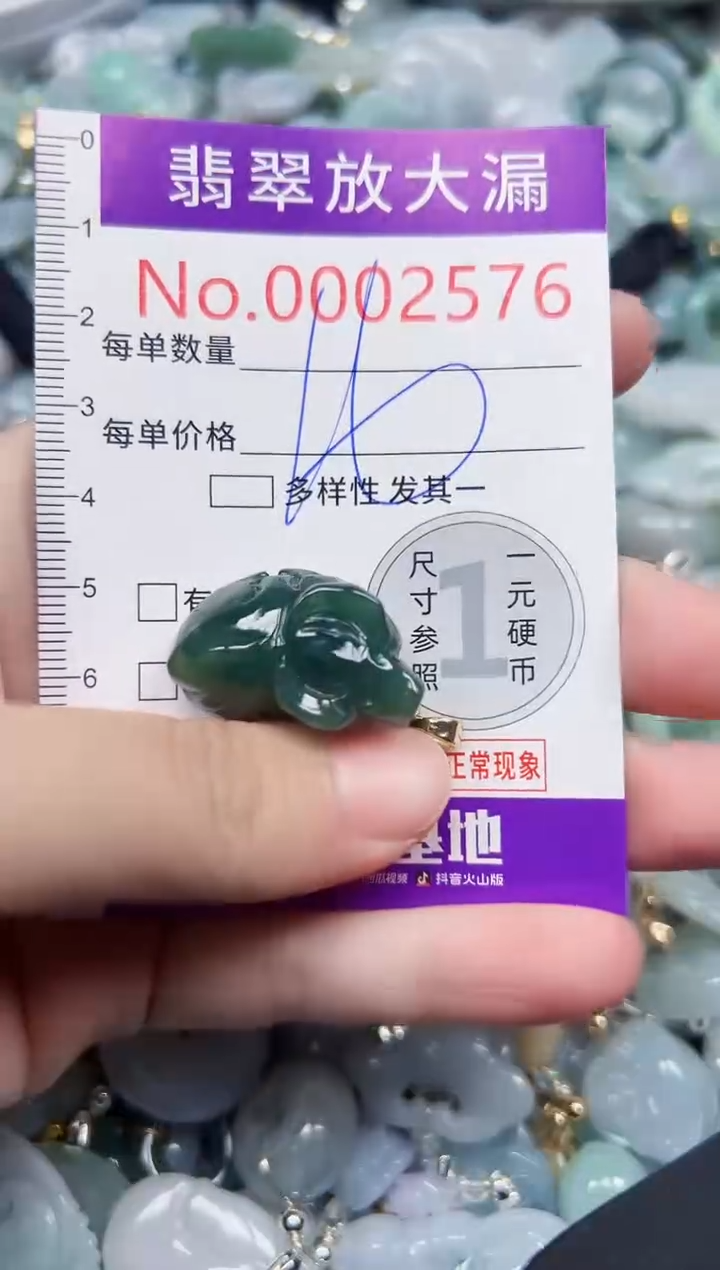 颈饰未镶嵌翡翠2576