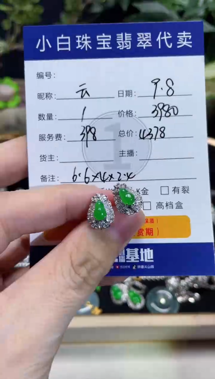 18K金镶嵌翡翠耳饰云*耳饰