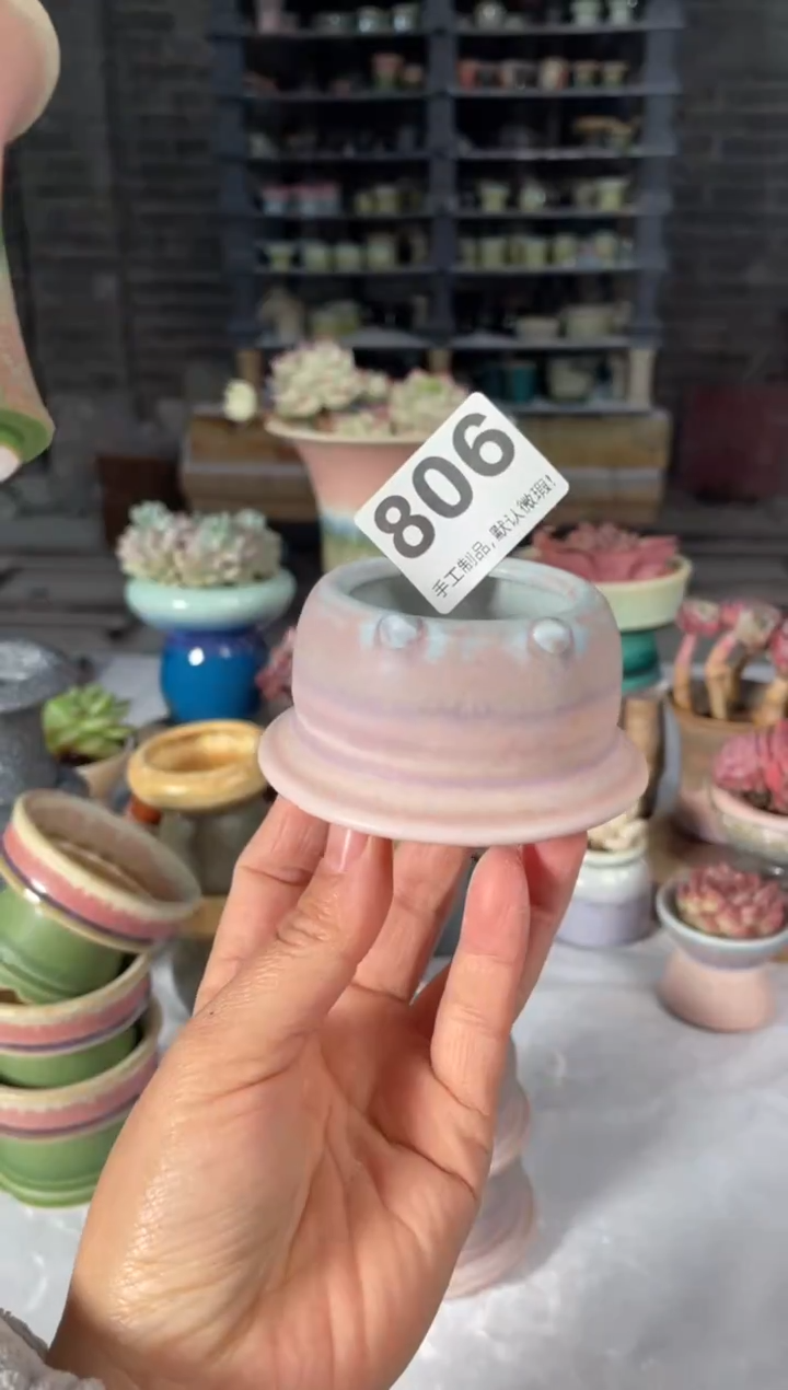 瓷片806小芳直播编号