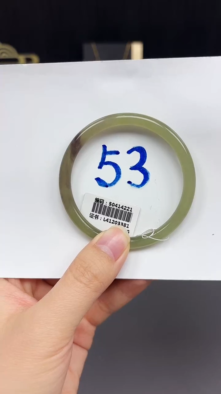 未镶嵌手镯和田玉4221