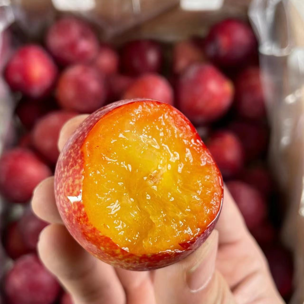 YM智利海运4J樱桃李新鲜水果2-5斤【坏果包赔+顺丰快递】