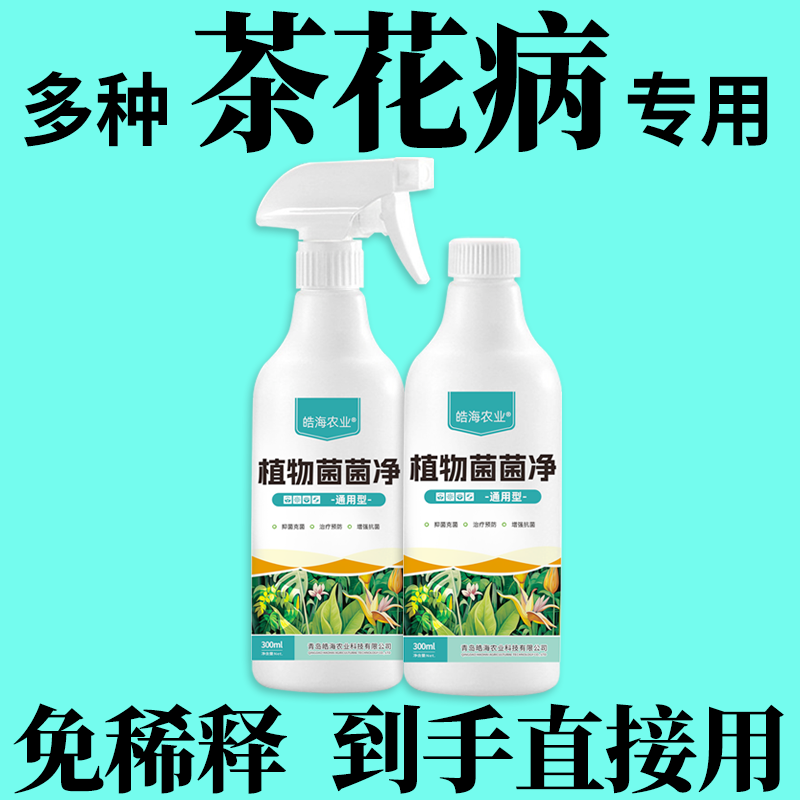 茶花病专用叶子发黄干尖落叶蔓枯病叶斑病黑斑专用肥营养液