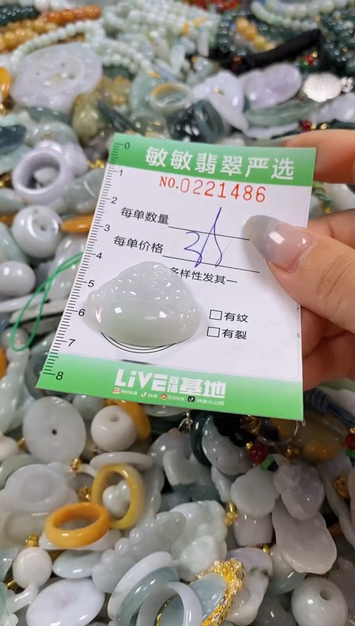 翡翠未镶嵌颈饰闪购0221486
