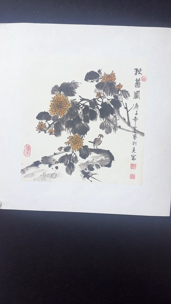 【闪购商品】国画斗方绘画菊花