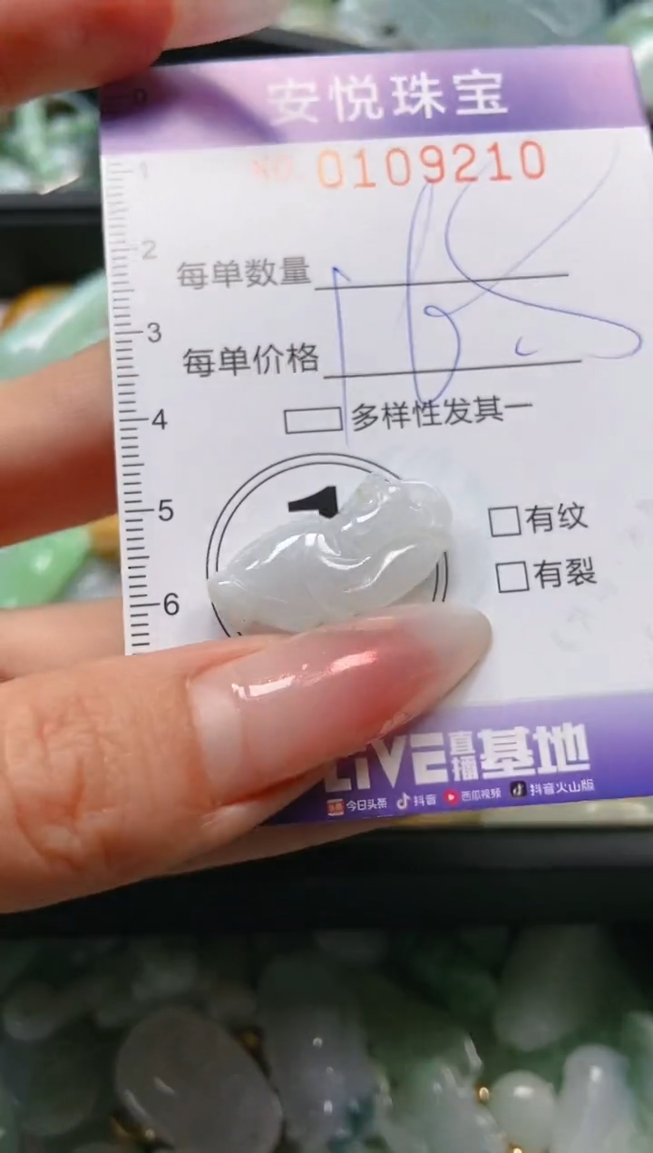 【闪购商品】翡翠颈饰未镶嵌闪购0109210