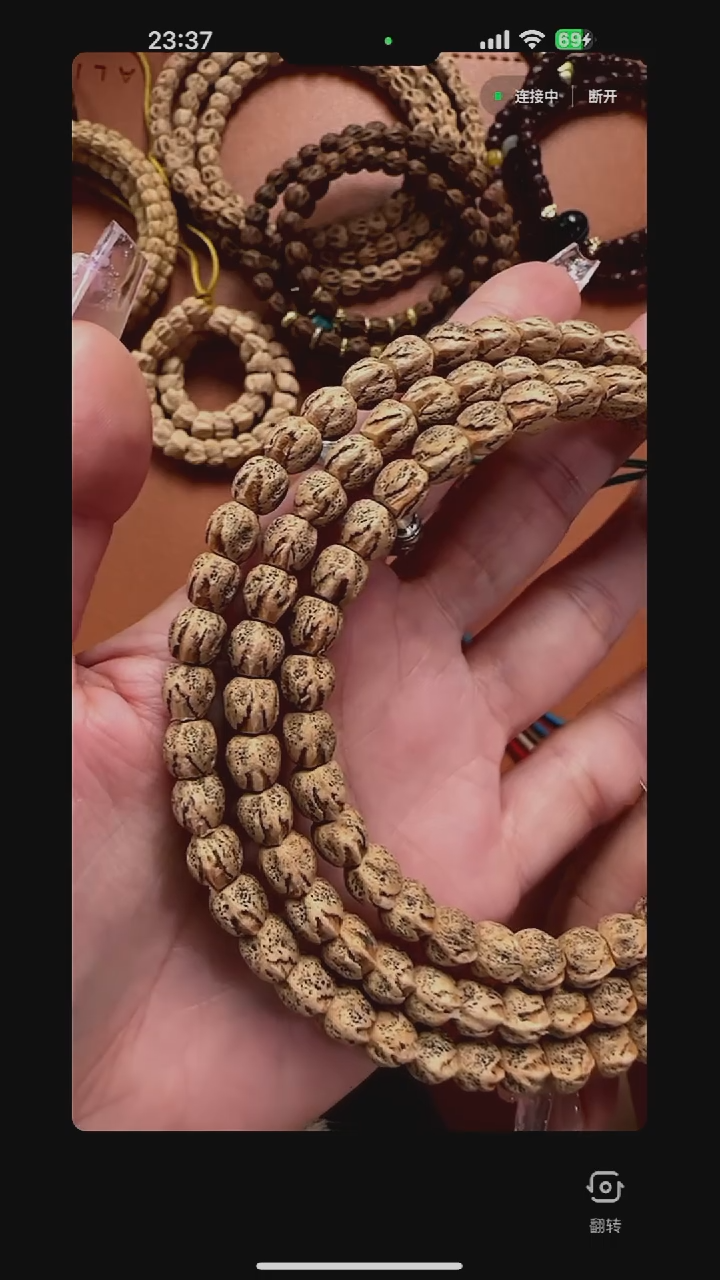 【闪购商品】柏香籽/百香籽吊坠TG0350