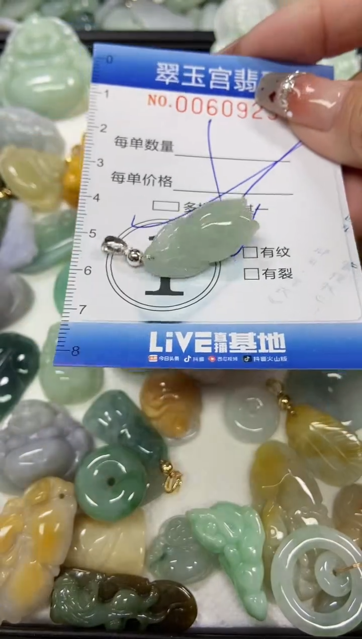 【闪购商品】翡翠颈饰未镶嵌闪购商品0060923多样性发其一