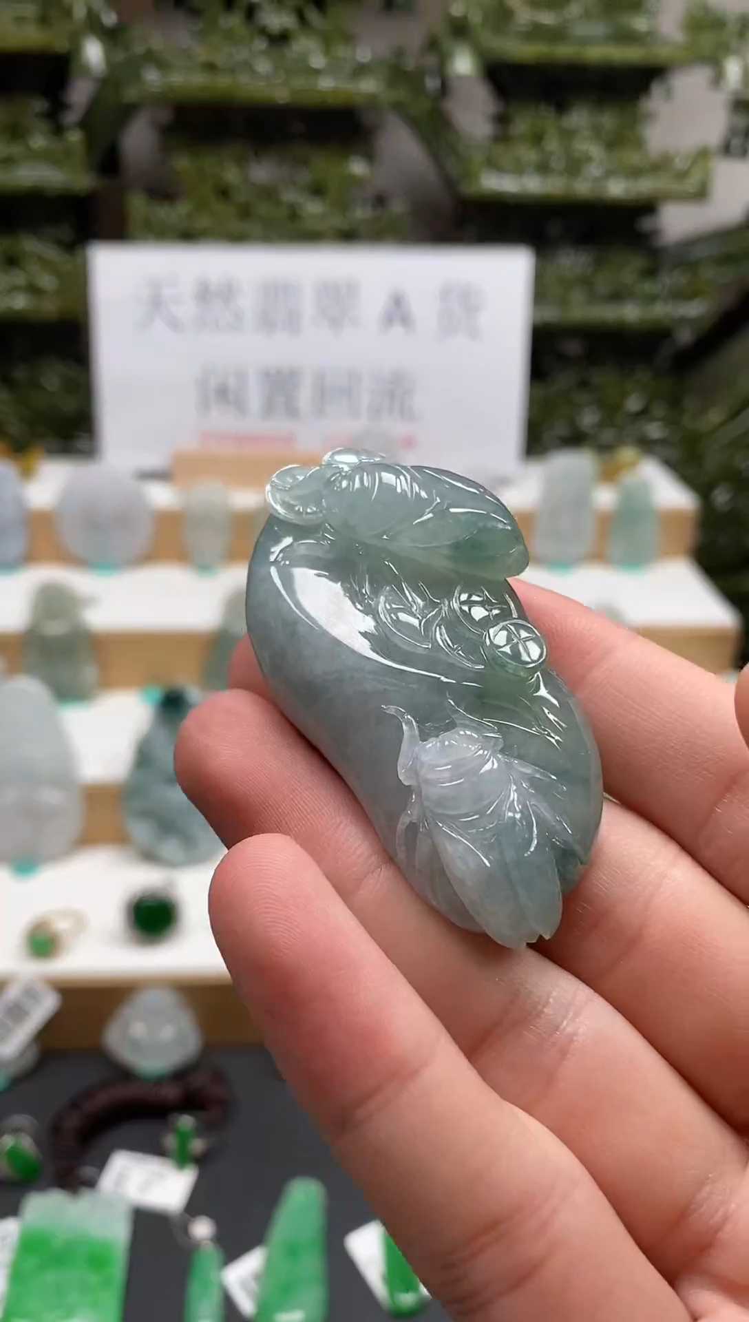 【闪购商品】翡翠颈饰未镶嵌102知了