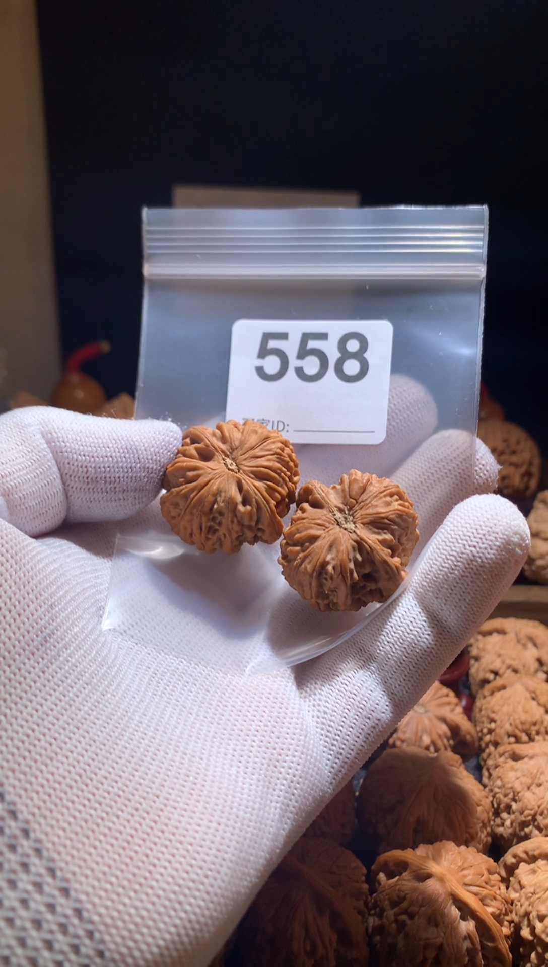 核桃龙珠32尺磕尖别打底，影响二次销售不退不换
