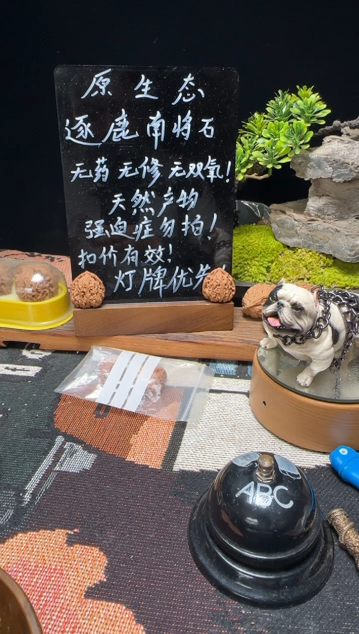 文玩核桃把件飞**月南将石