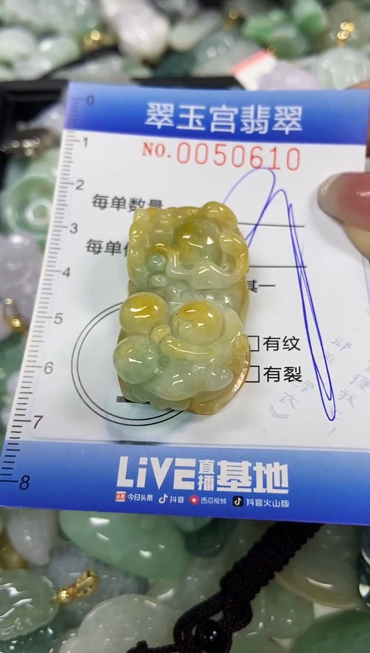 【闪购商品】翡翠颈饰未镶嵌闪购0050610