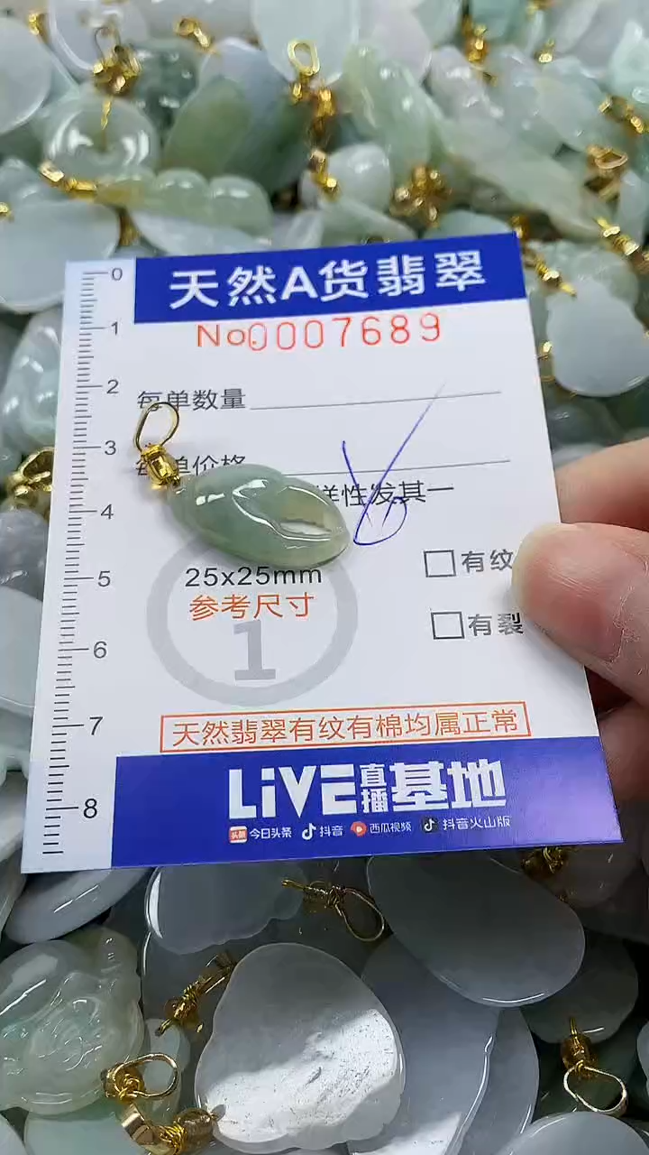 颈饰未镶嵌翡翠纯天然a货翡翠