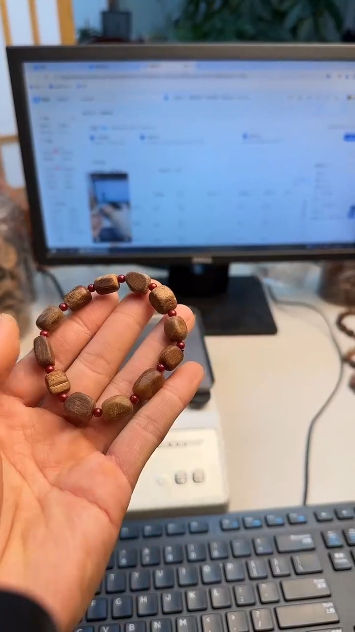 沉香手串伊利安沉香10克