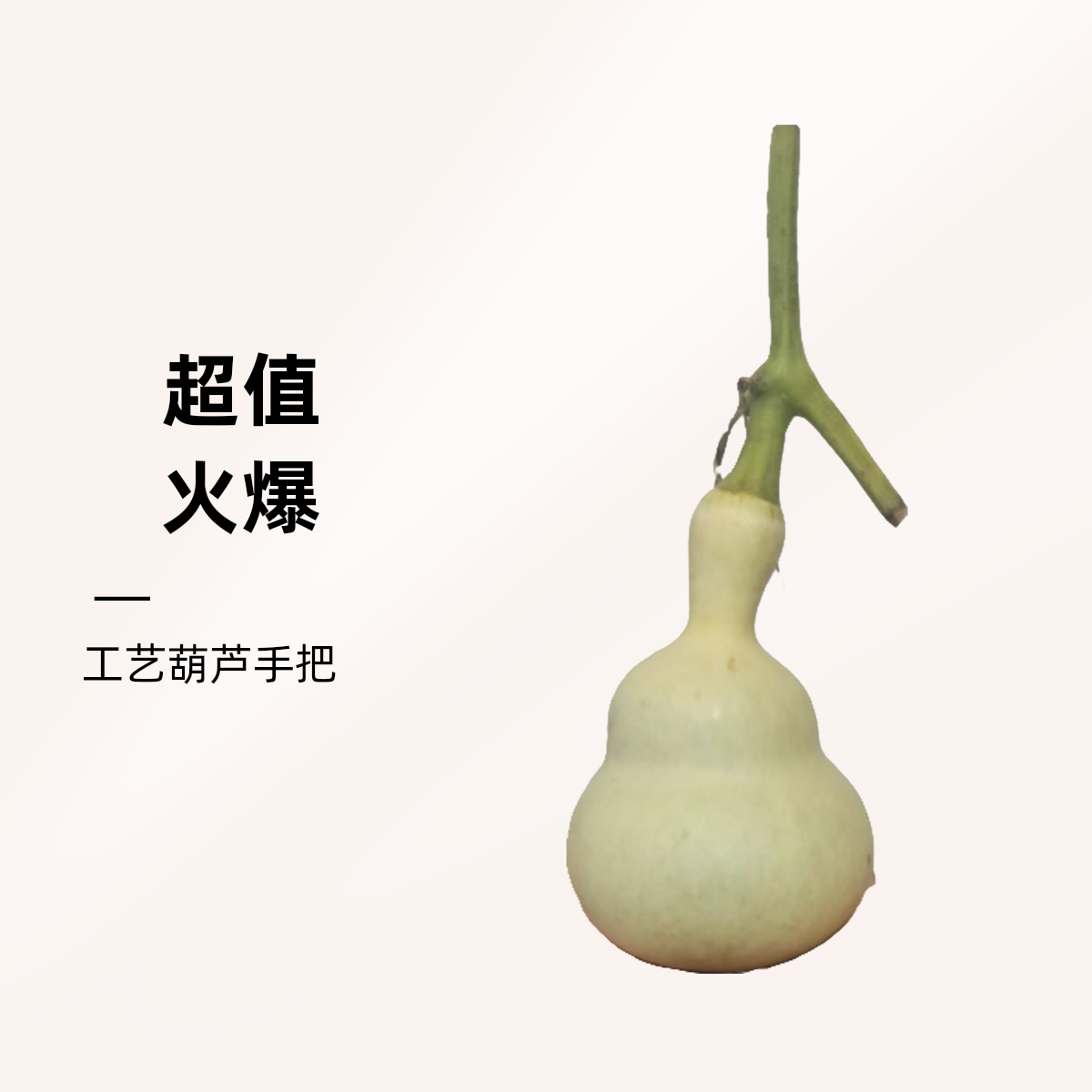 青皮葫芦直播下单，青皮一定多放几天，等葫芦开始皮变色在打皮。