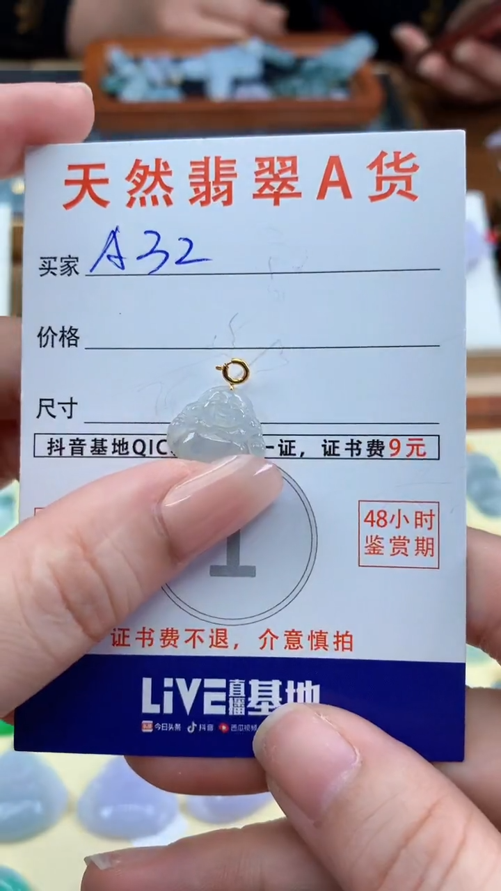 颈饰未镶嵌翡翠天然A货翡翠挂件