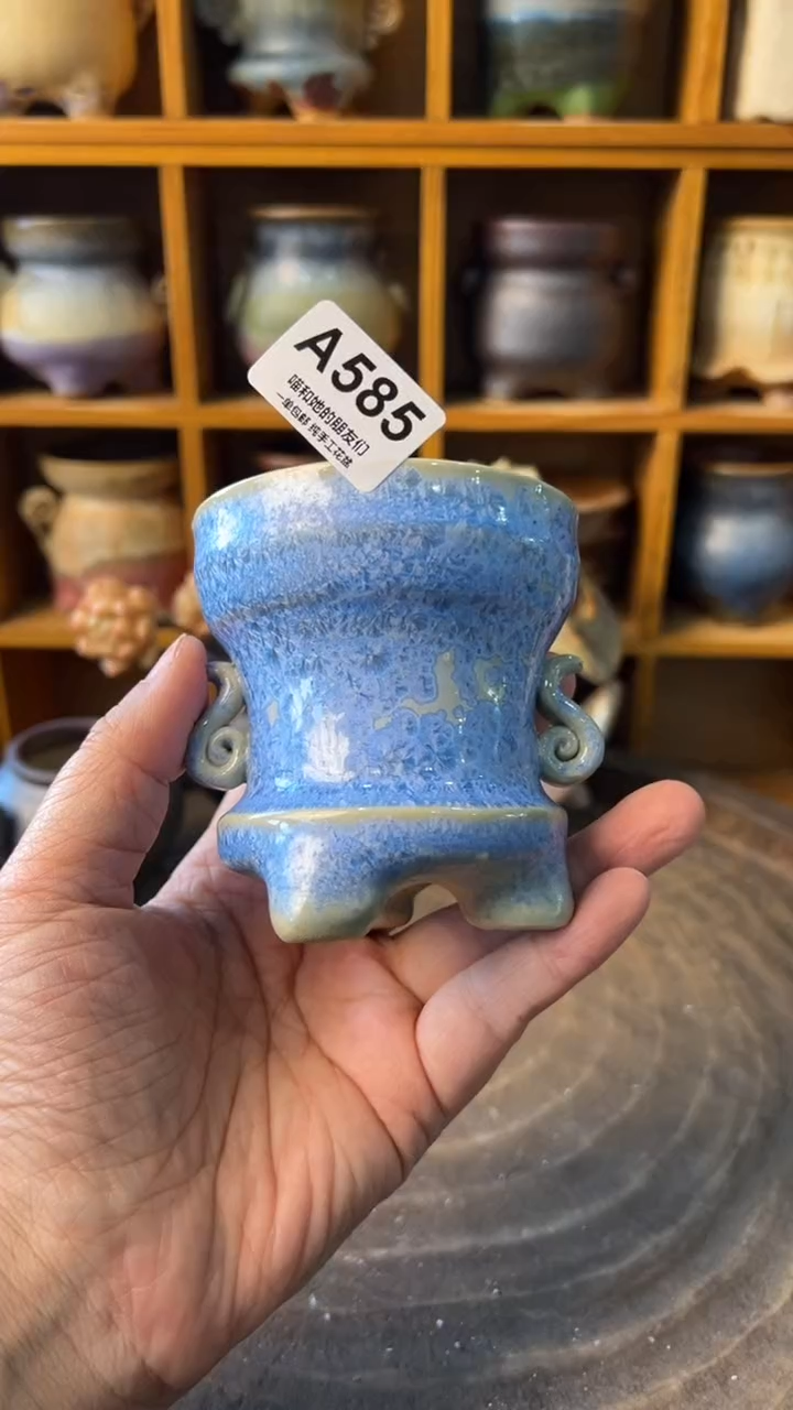 ?****?585【多肉花盆多肉盆】